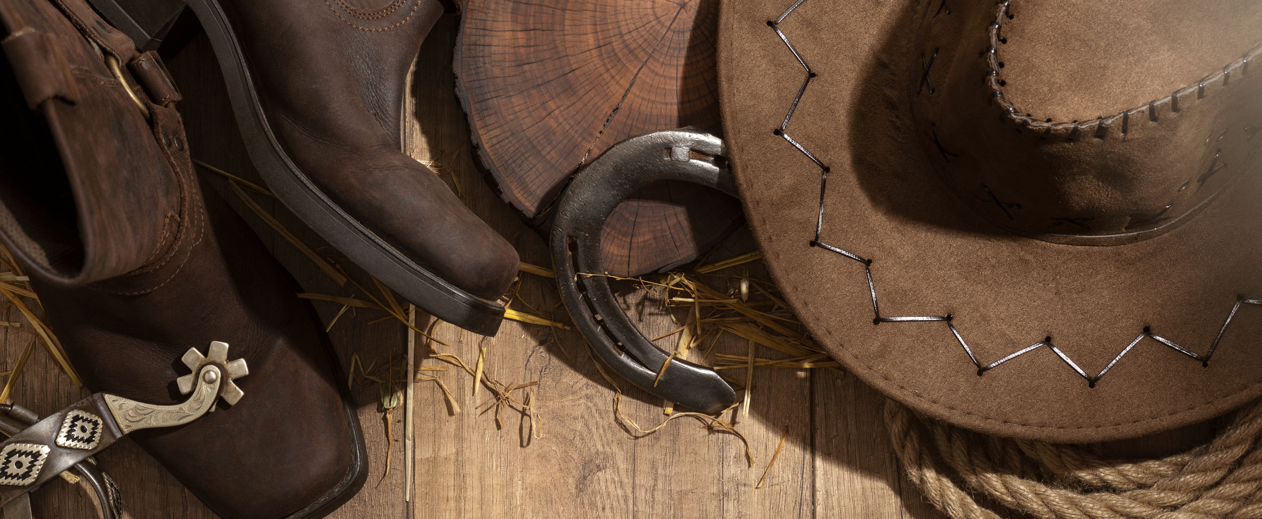 Origines et histoire de la musique country