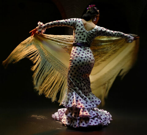 Histoire Du Flamenco Origines Du Flamenco Et volutions
