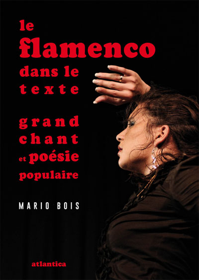 le-flamenco-dans-le-texte