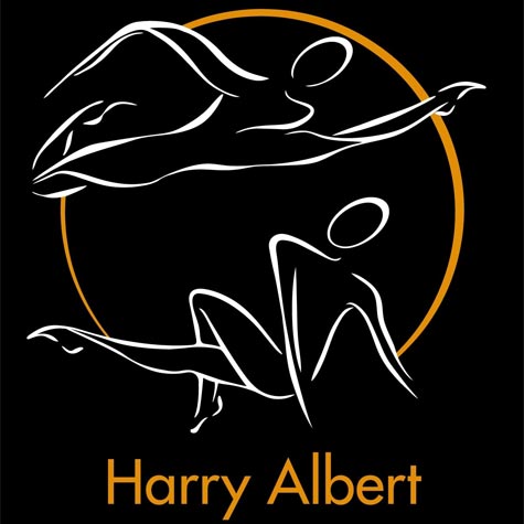 Ecole de danse Harry Albert, école de danse à Villeurbanne